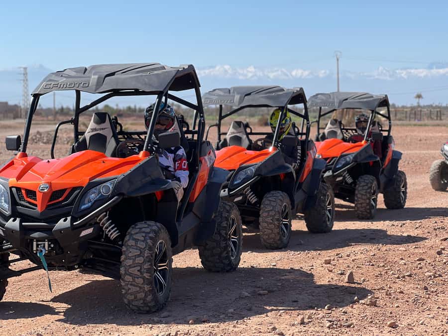 Marrakech Buggy Palmerie and Desert - Is $44 good value?