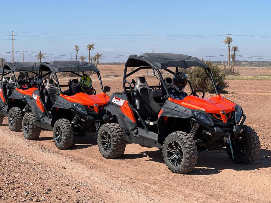 Marrakech Buggy Palmerie and Desert - The photo stop in the palm groves