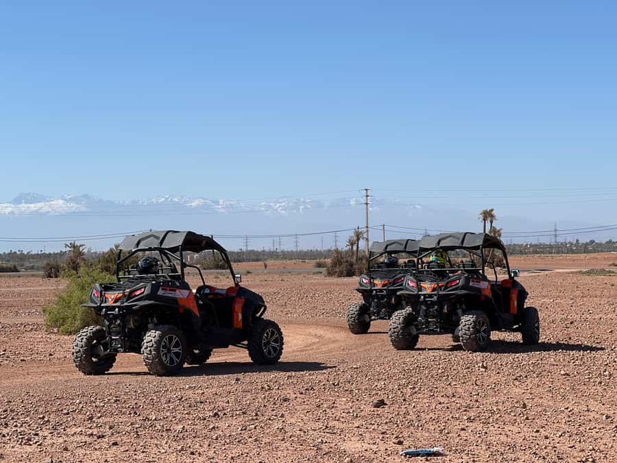 Marrakech Buggy Palmerie and Desert - Returning by van after the ride