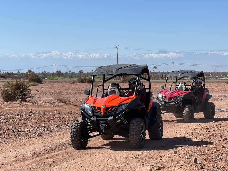 Marrakech Buggy Palmerie and Desert - Who will enjoy this buggy trip most?