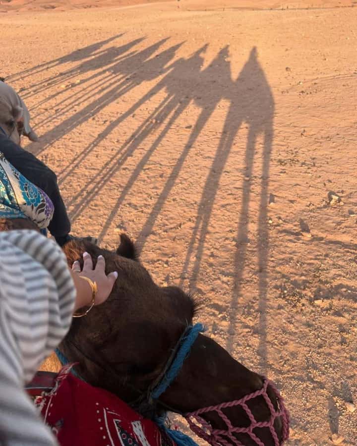 Marrakech: Camel & Quad Bike Tour with Sunset, Dinner & Show - Key points at a glance