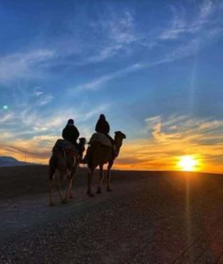 Marrakech: Camel & Quad Bike Tour with Sunset, Dinner & Show - Is $22 good value?