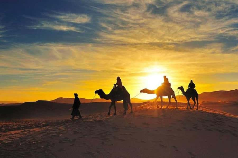 Marrakech: Camel & Quad Bike Tour with Sunset, Dinner & Show - What this Agafay Desert tour really offers