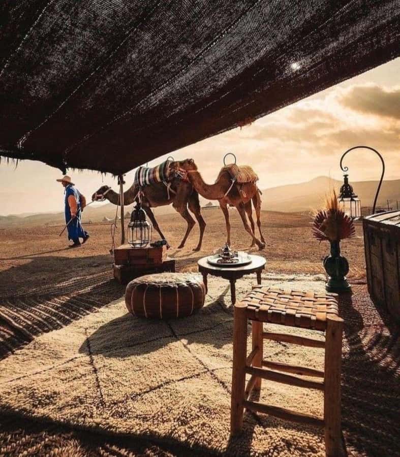 Marrakech: Camel & Quad Bike Tour with Sunset, Dinner & Show - The fire show and evening atmosphere