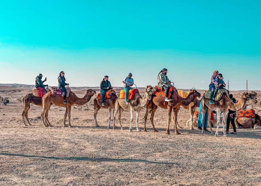 Marrakech: Camel Ride, Dinner, Pool, and Fire Show in Agafay - Why Agafay works for a short desert evening