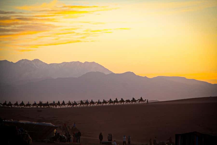 Marrakech: Camel Ride, Dinner, Pool, and Fire Show in Agafay - The guides make the difference