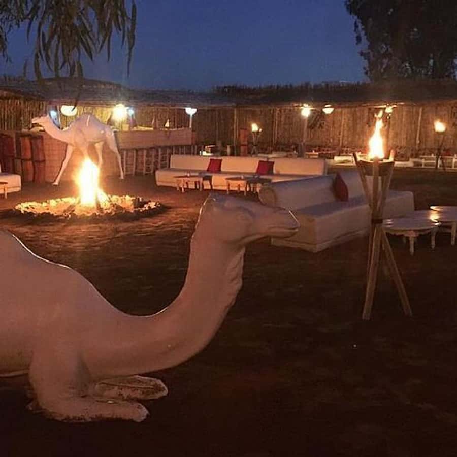 Marrakech: Camel Ride & Dinner with Sunset in Agafay Desert - Guides, languages, and the human side of the outing