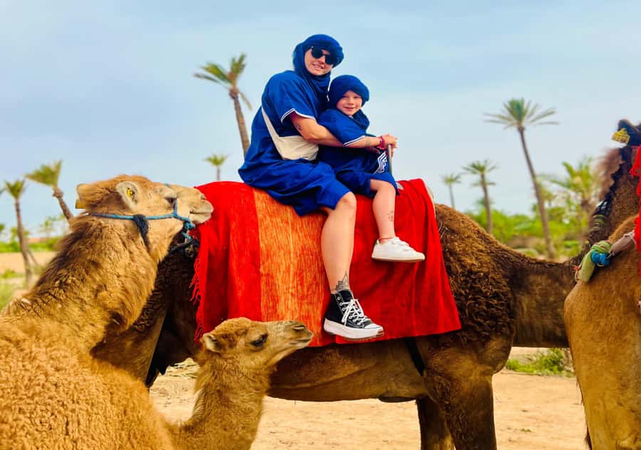 Marrakech: Camel Ride in the Oasis Palmeraie - What the Palmeraie camel ride is really like