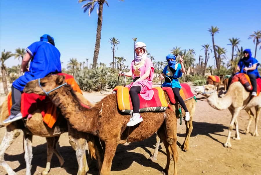 Marrakech: Camel Ride in the Oasis Palmeraie - Practical tips for a smoother outing
