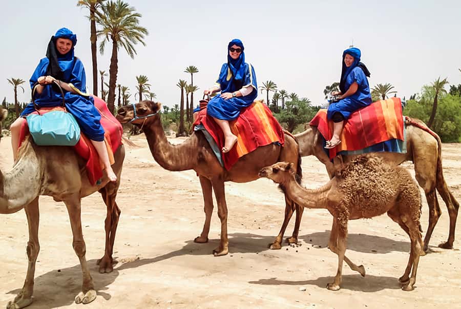 Marrakech: Camel Ride in the Oasis Palmeraie - Mounting up among palms and orange trees