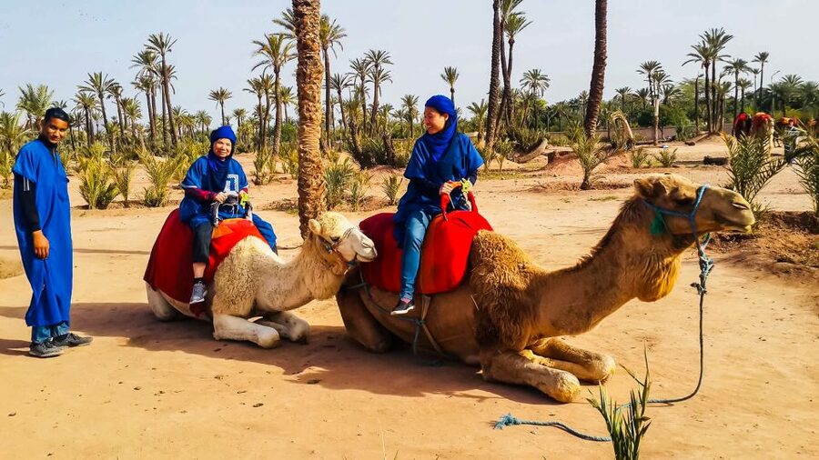 Marrakech: Camel Ride in the Oasis Palmeraie - Meeting the guides and learning local details