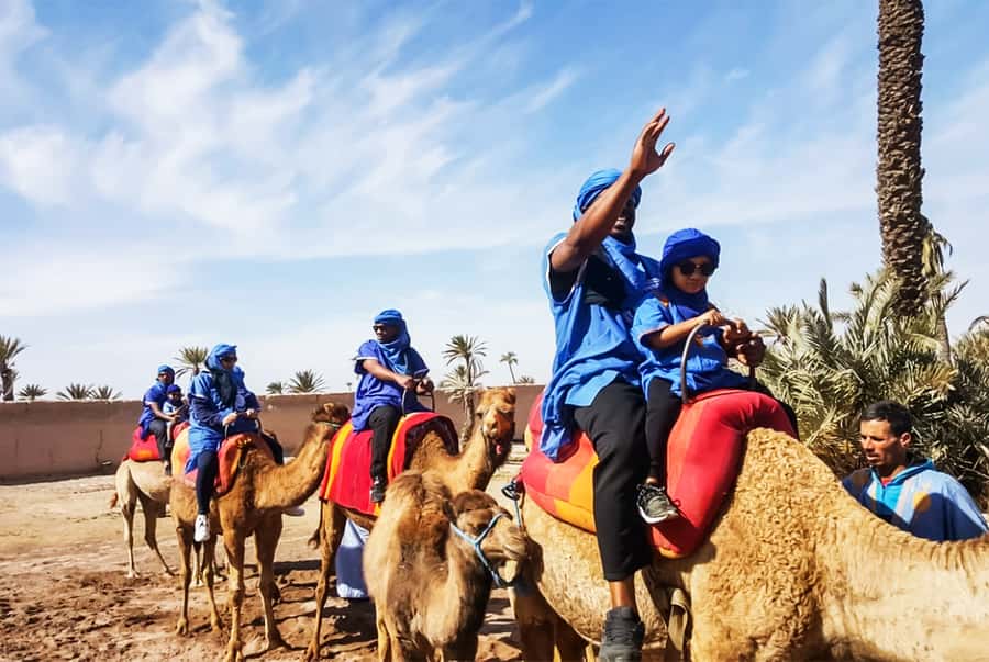 Marrakech: Camel Ride in the Oasis Palmeraie - Is $26 good value?