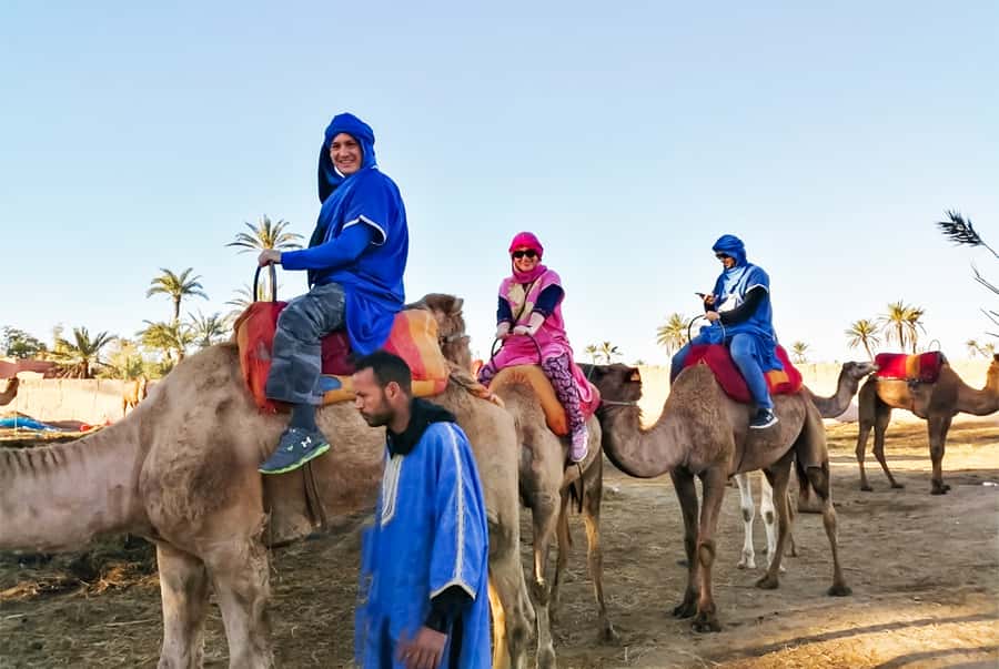 Marrakech: Camel Ride in the Oasis Palmeraie - Who should book this experience?