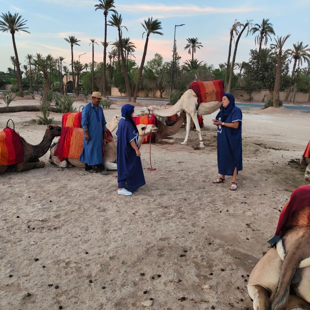 Marrakech: Camel Ride in the Palm Grove - Who will enjoy this ride most