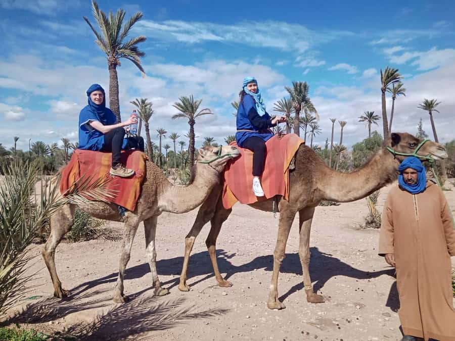 Marrakech: Camel Ride in the Palm Grove - Leaving Marrakech for the Palmeraie