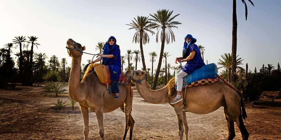 Marrakech: Camel Ride in the Palm Grove - Mounting the dromedary