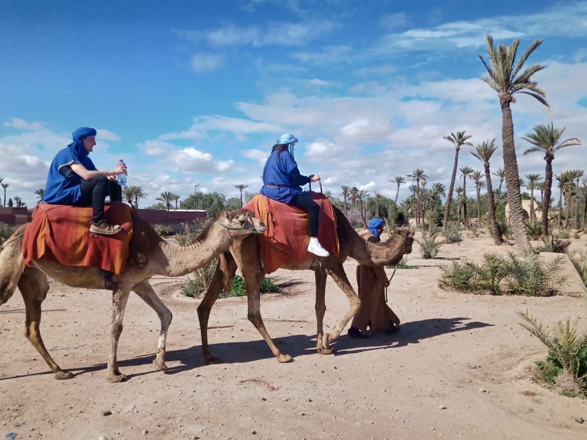 Marrakech: Camel Ride in the Palm Grove - Following village paths and palm groves