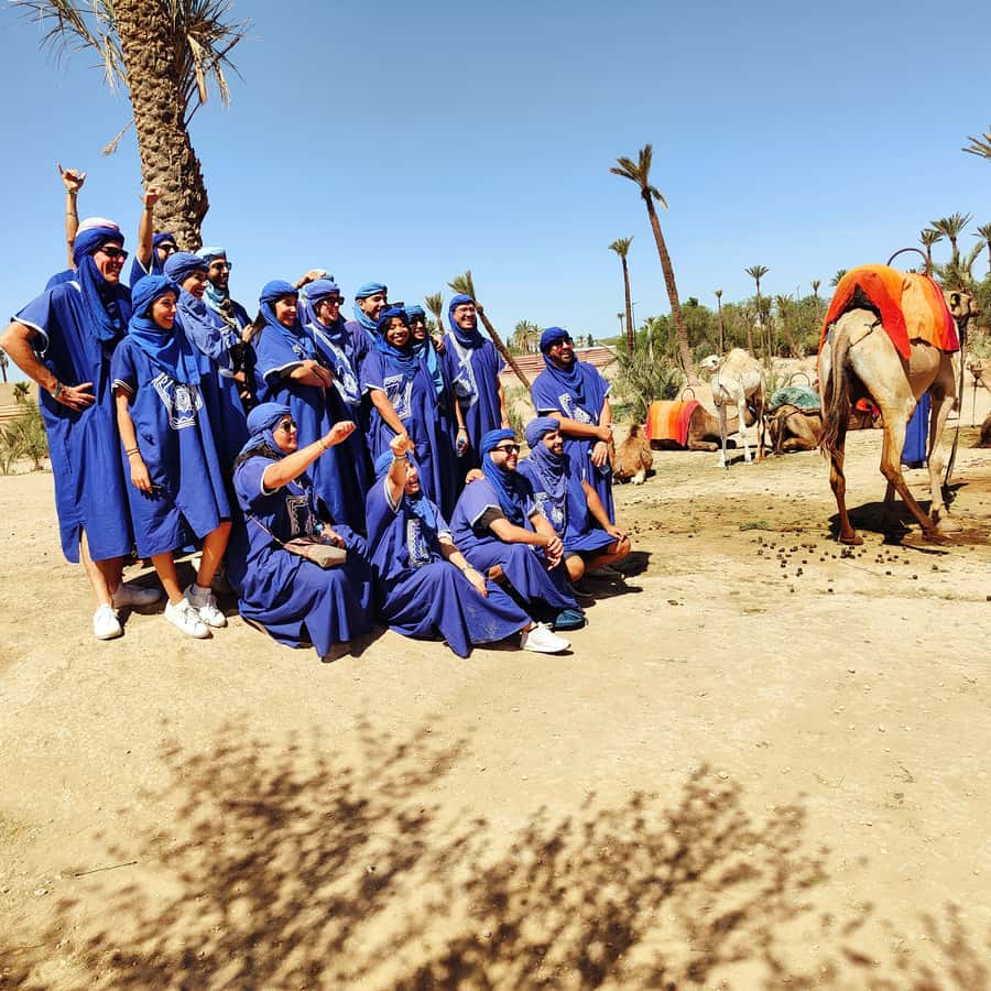 Marrakech: Camel Ride in the Palm Grove - Mint tea inside a nomad tent
