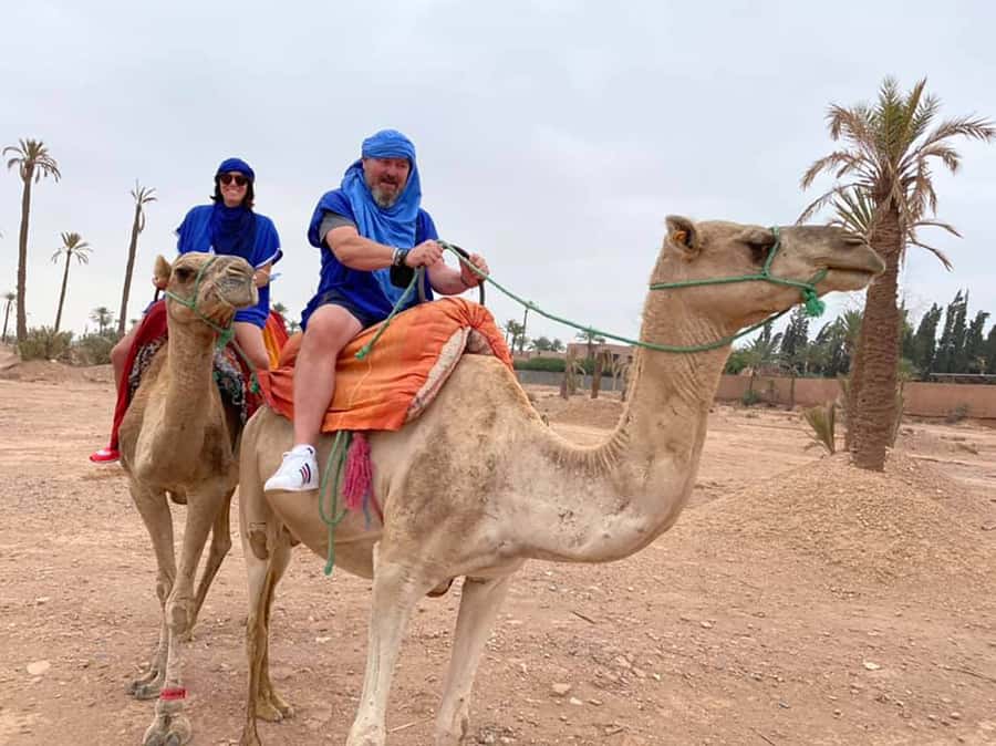 Marrakech Camel Ride in the Palmeraie Palm Grove - Key points to know before you book
