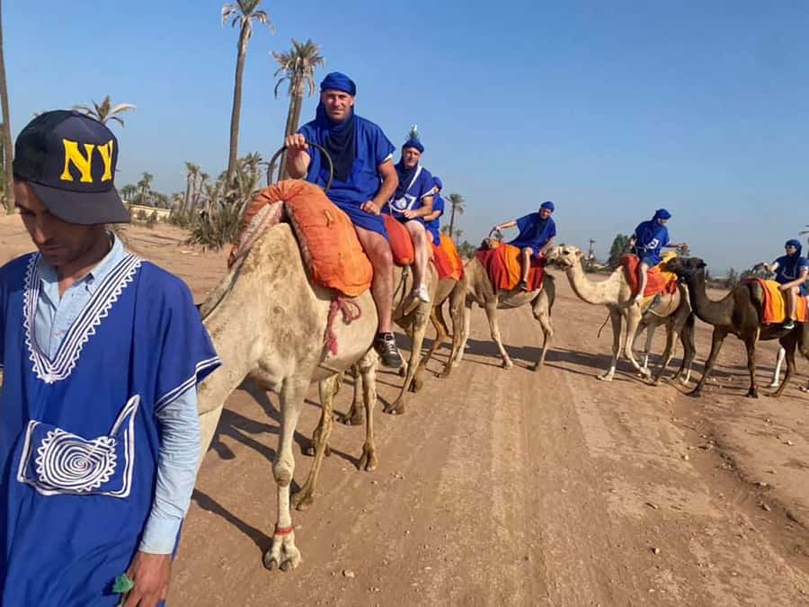 Marrakech Camel Ride in the Palmeraie Palm Grove - A camel ride through Marrakech’s Palmeraie