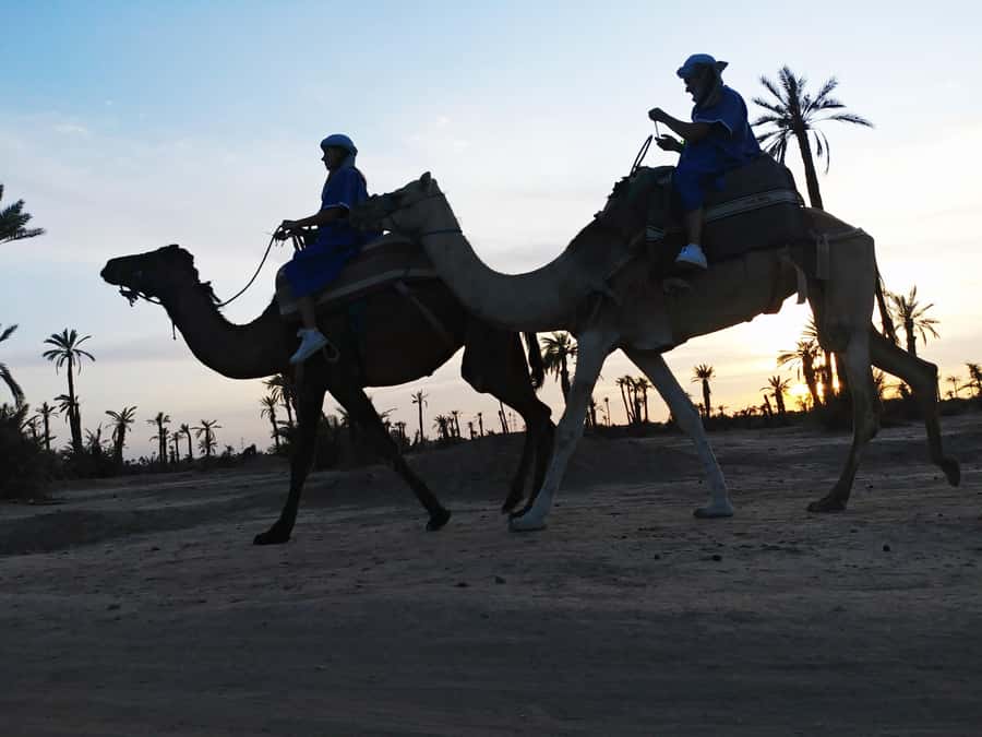 Marrakech Camel Ride in the Palmeraie Palm Grove - Dressing like a desert rider