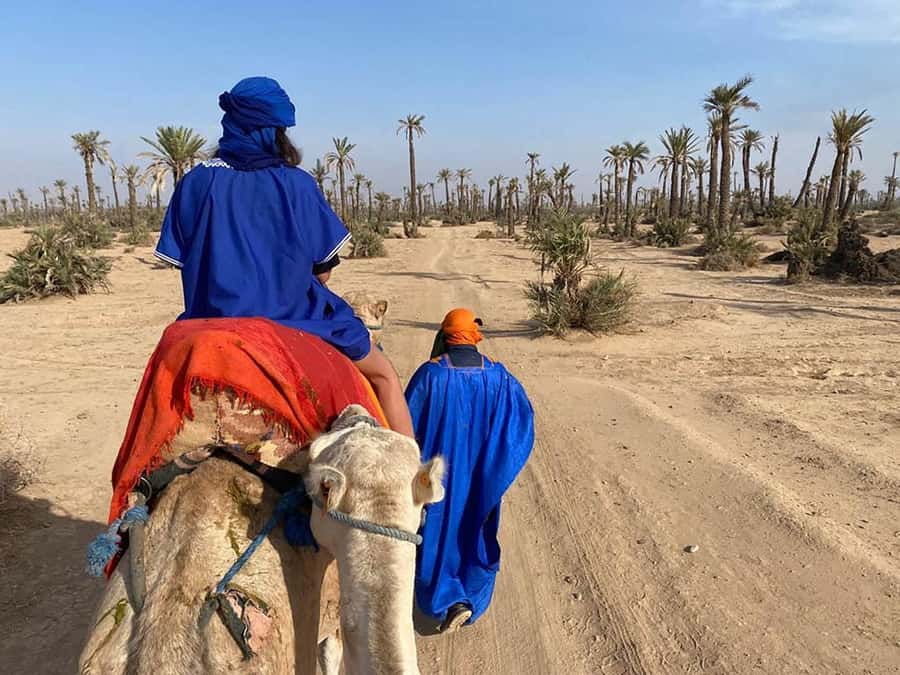 Marrakech Camel Ride in the Palmeraie Palm Grove - What the one-hour ride is really like