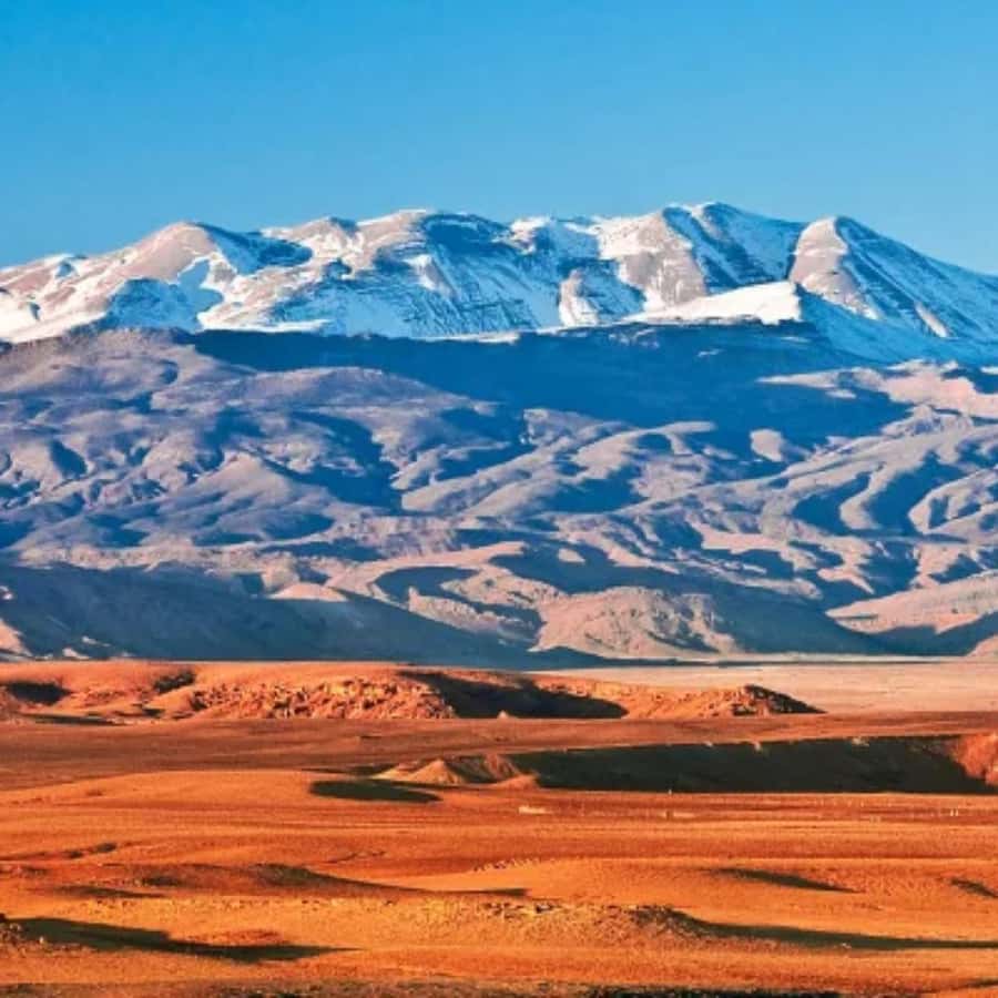 Marrakech: Camel Ride & Sunset Dinner with Fire Show - Who Should Book This Agafay Experience?