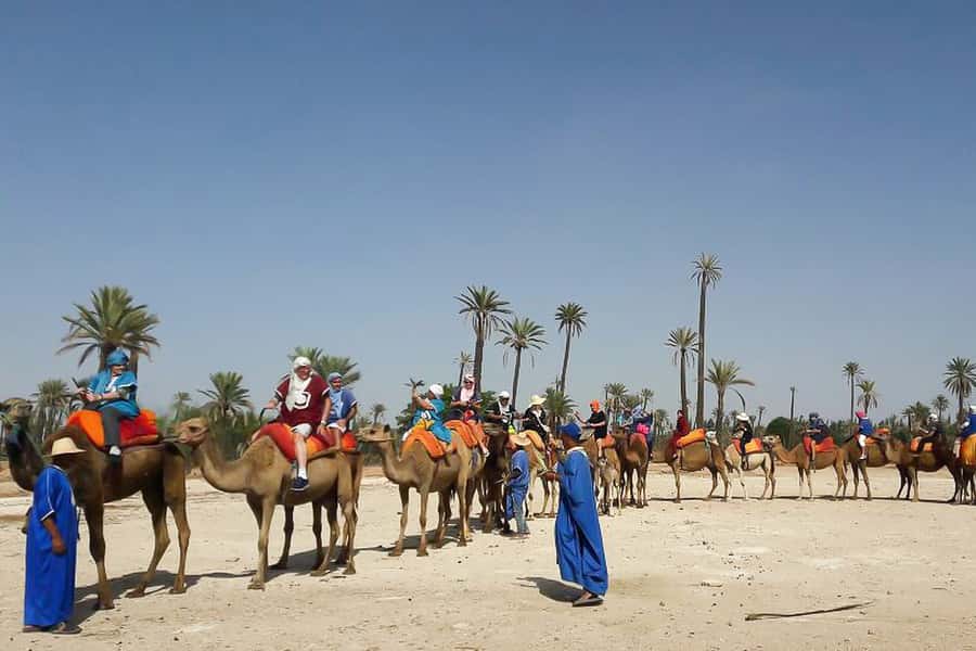 Marrakech: Camel Trek - Getting dressed before you mount