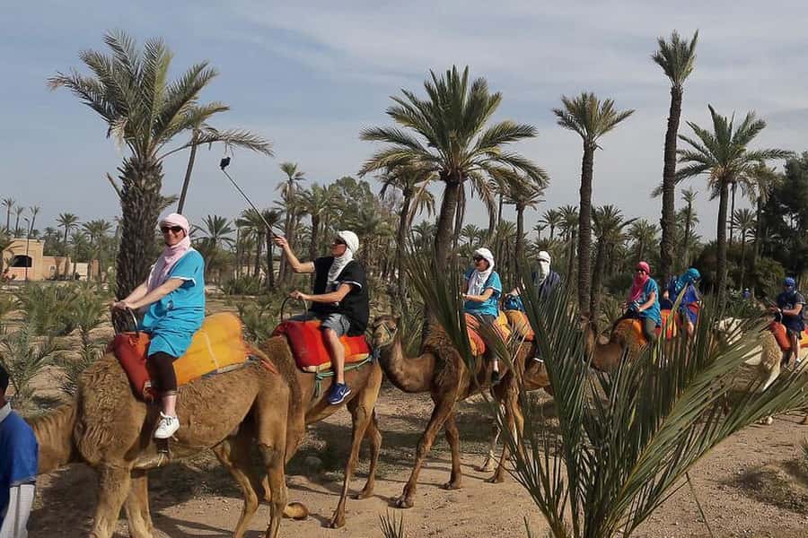 Marrakech: Camel Trek - What the 90 minutes really includes