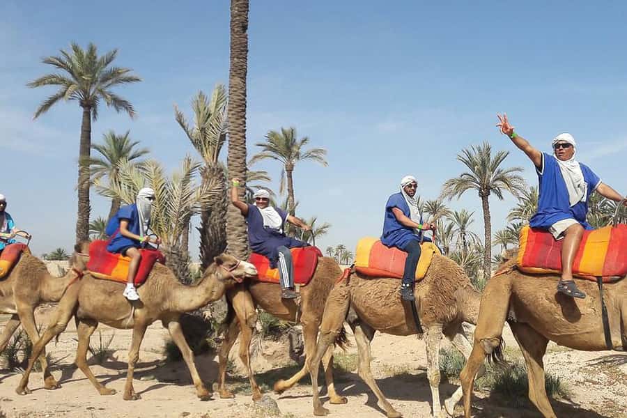 Marrakech: Camel Trek - Practical advice before you go