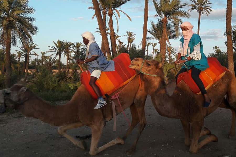 Marrakech: Camel Trek - Learning the camel routine