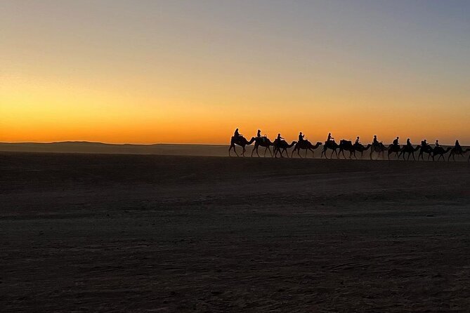 Marrakech: Camels & Quads on Sunset and Luxury Dinner with Show - Is $28.97 good value?
