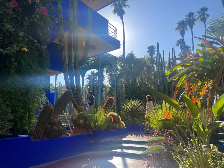 Marrakech City Tour, Private Fullday with Luxury Car - Majorelle Garden and the Yves Saint Laurent Museum