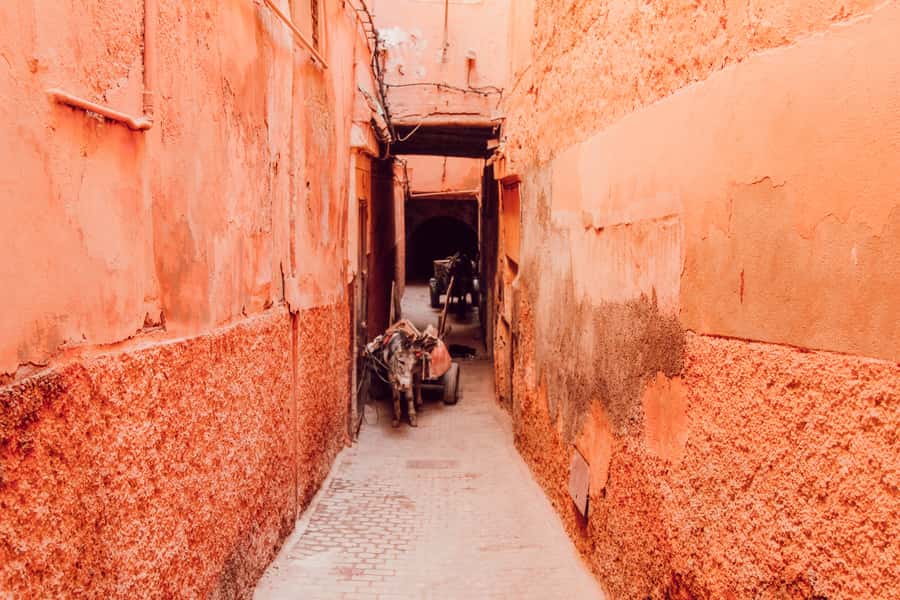Marrakech: Customized Guided Walking Tour - Menara Gardens and a change of pace