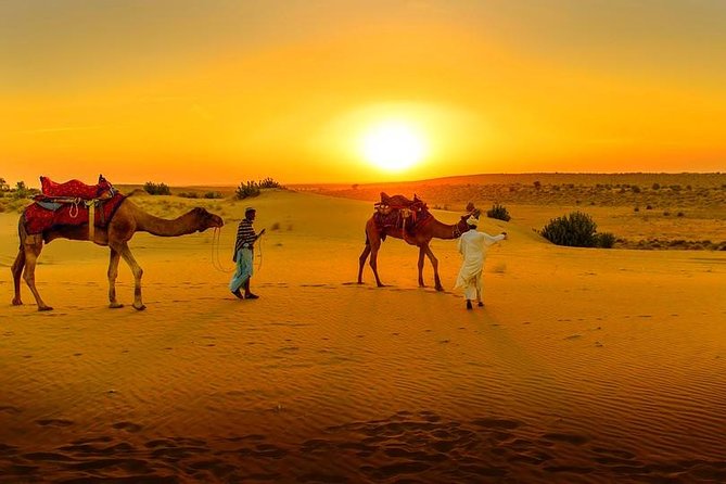 Marrakech Day Trip: Agafay Desert, Atlas Mountains and Camel Ride - Key points to know before you book