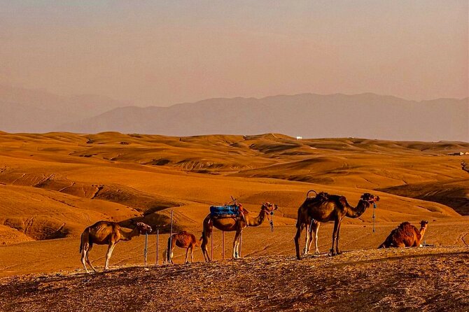 Marrakech Day Trip: Agafay Desert, Atlas Mountains and Camel Ride - Tea, village life, and the optional mountain lunch