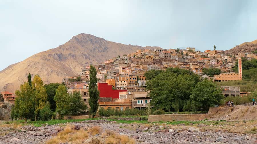 Marrakech Day trip Atlas Mountains & Agafay Desert - Key points to know before booking