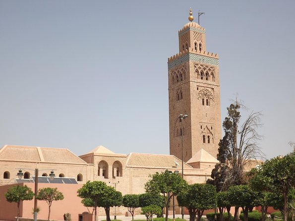 Marrakech day trip from Agadir & Taghazout - Who Will Enjoy This Day Trip Most?