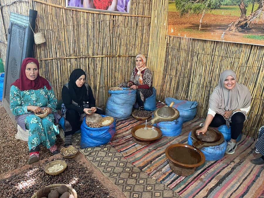 Marrakech: Day Trip To Atlas Mountains Ourika Waterfall - Is $14 good value?