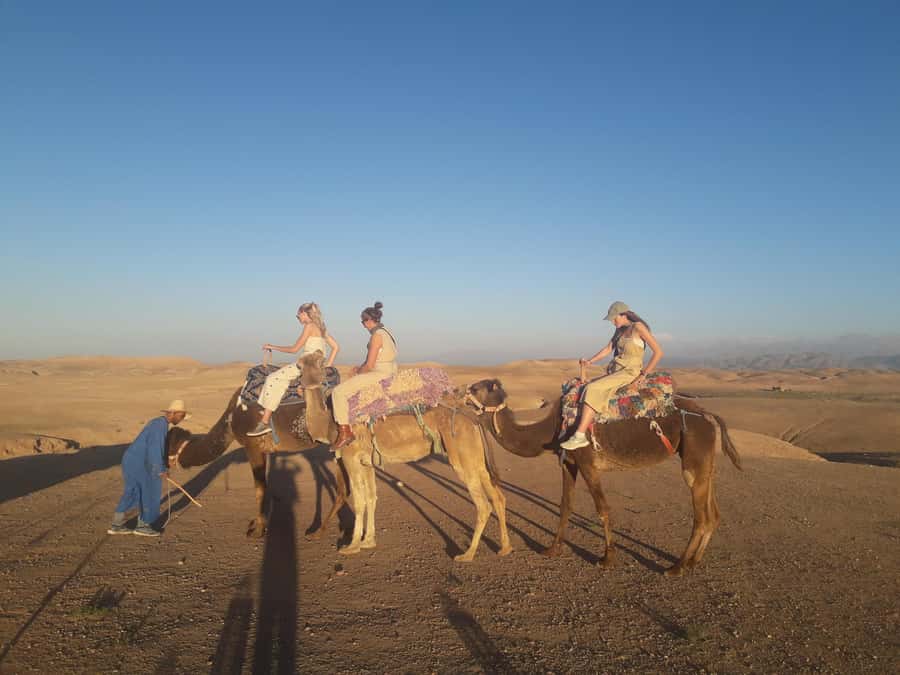 Marrakech Day Trip to Ourika valley & Waterfalls - Berber hospitality, mint tea, and local crafts