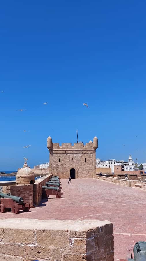 Marrakech: Day Trip to the Beautiful and Historic Essaouira - Entering the blue-and-white medina