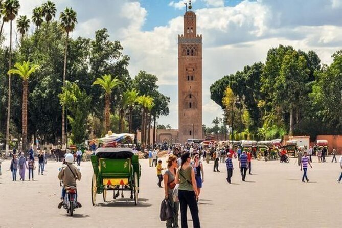 Marrakech Day Trip with Camel Ride from Casablanca - La Palmeraie camel ride, a fun start to the city visit