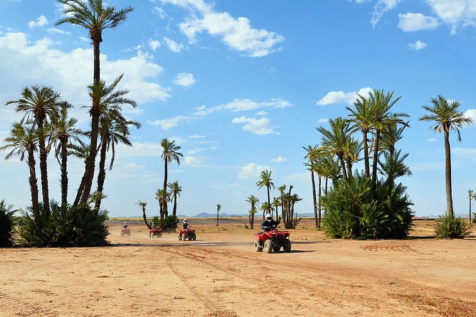Marrakech Desert and Palm Grove Quad Bike Tour - Quick reasons to consider this ride