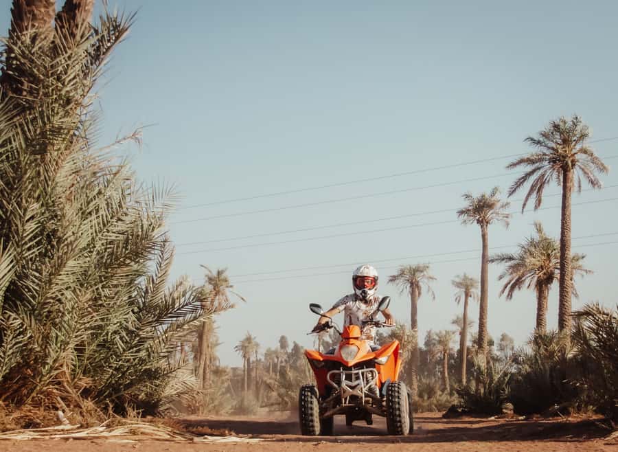 Marrakech: Desert and Palm Grove Quad Tour with Tea - Price, comfort, and who should book