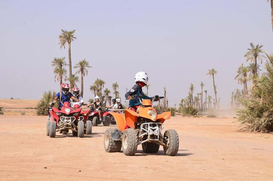 Marrakech: Desert and Palm Grove Sunset Quad Tour with Tea - Mint tea with bread, honey, olives, and oil