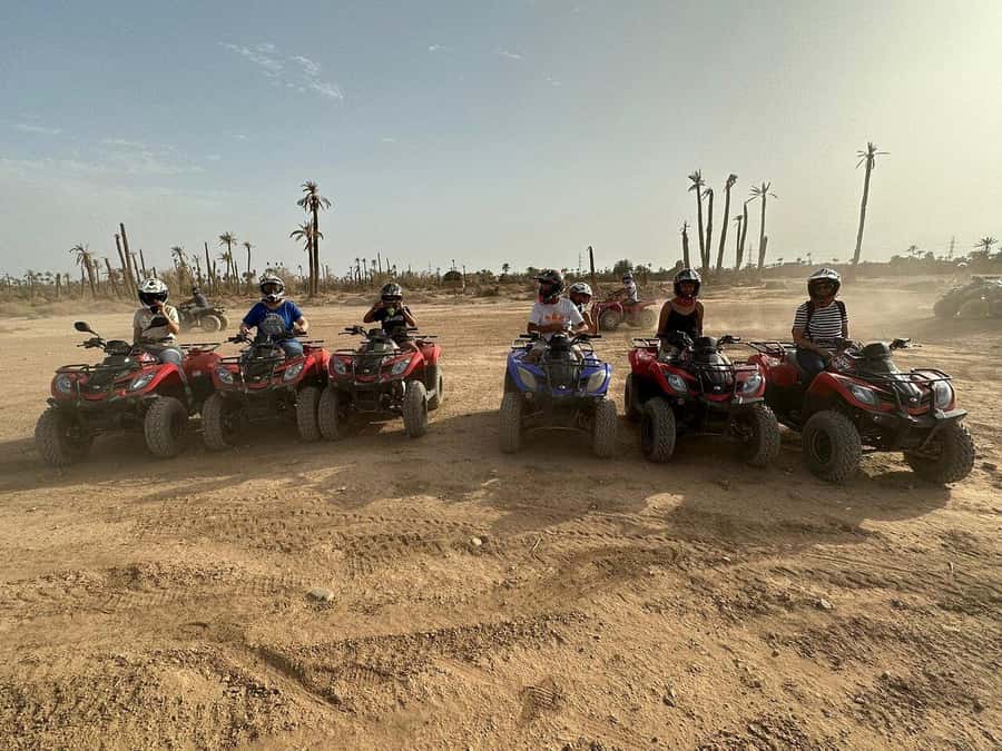 Marrakech: Desert and Palm Grove Sunset Quad Tour with Tea - What $34 gets you, and where the value sits