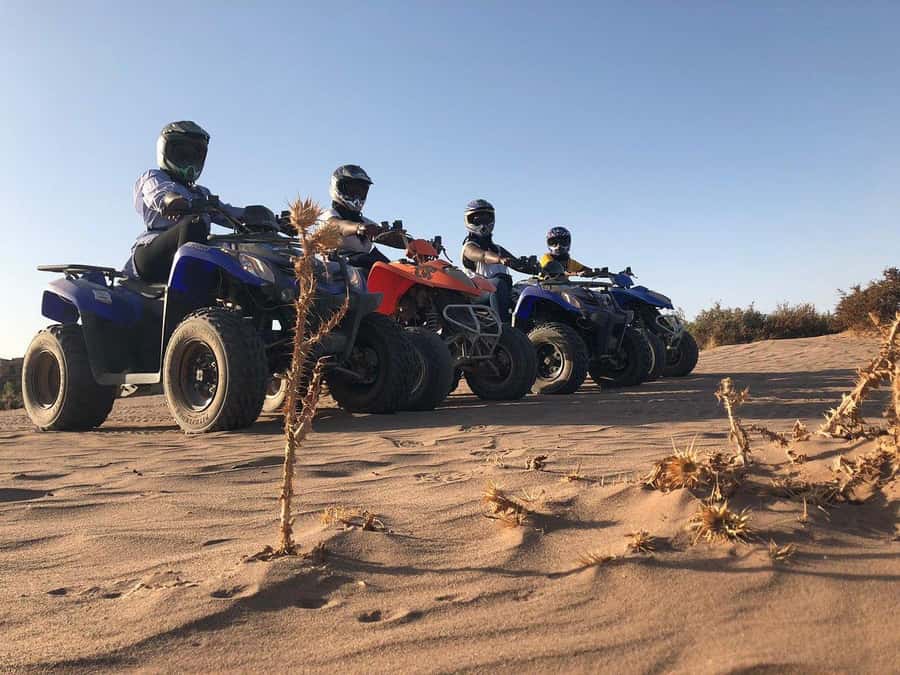 Marrakech: Desert and Palm Grove Sunset Quad Tour with Tea - Practical details that make the ride better