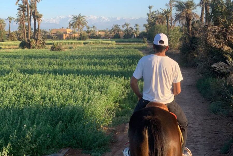 Marrakech: Desert and Palmeraie Horse Riding Tour & Transfer - Choosing a horse and getting ready to ride
