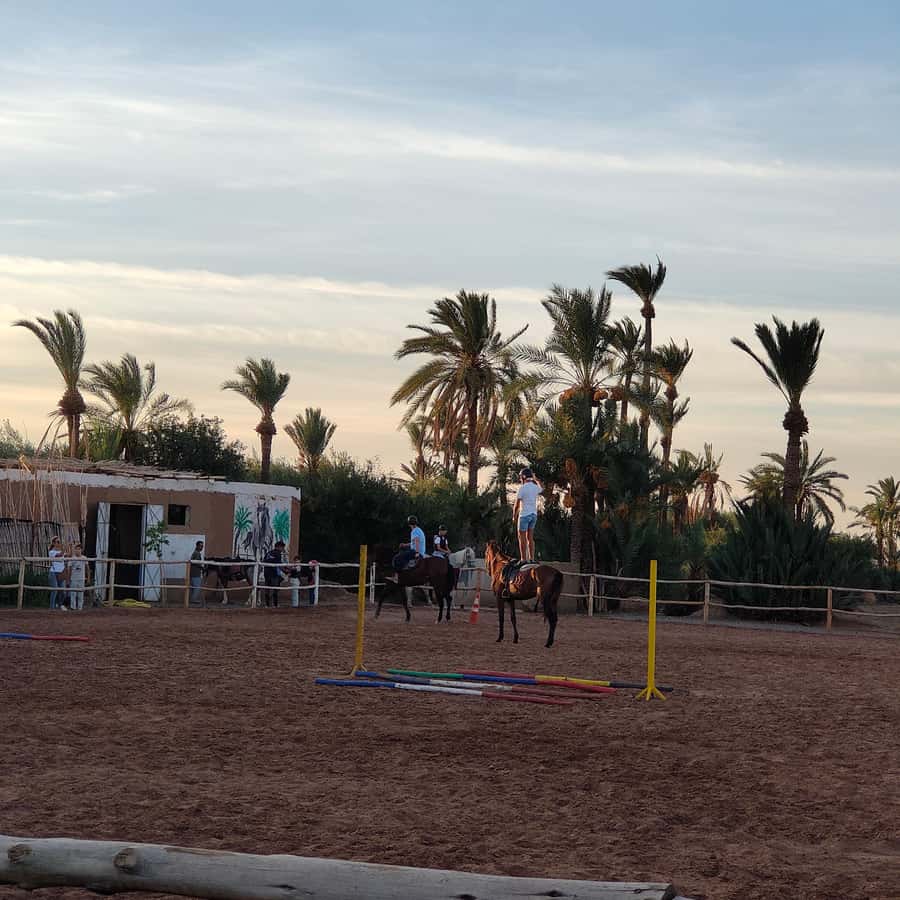 Marrakech: Desert and Palmeraie Horse Riding Tour & Transfer - Photos and videos without carrying a camera