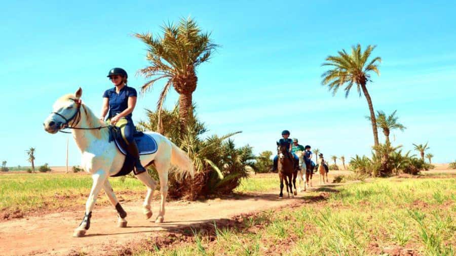 Marrakech: Desert and Palmeraie Horse Riding Tour & Transfer - Leaving Marrakech in an air-conditioned minivan